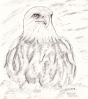 Eagle Spirit